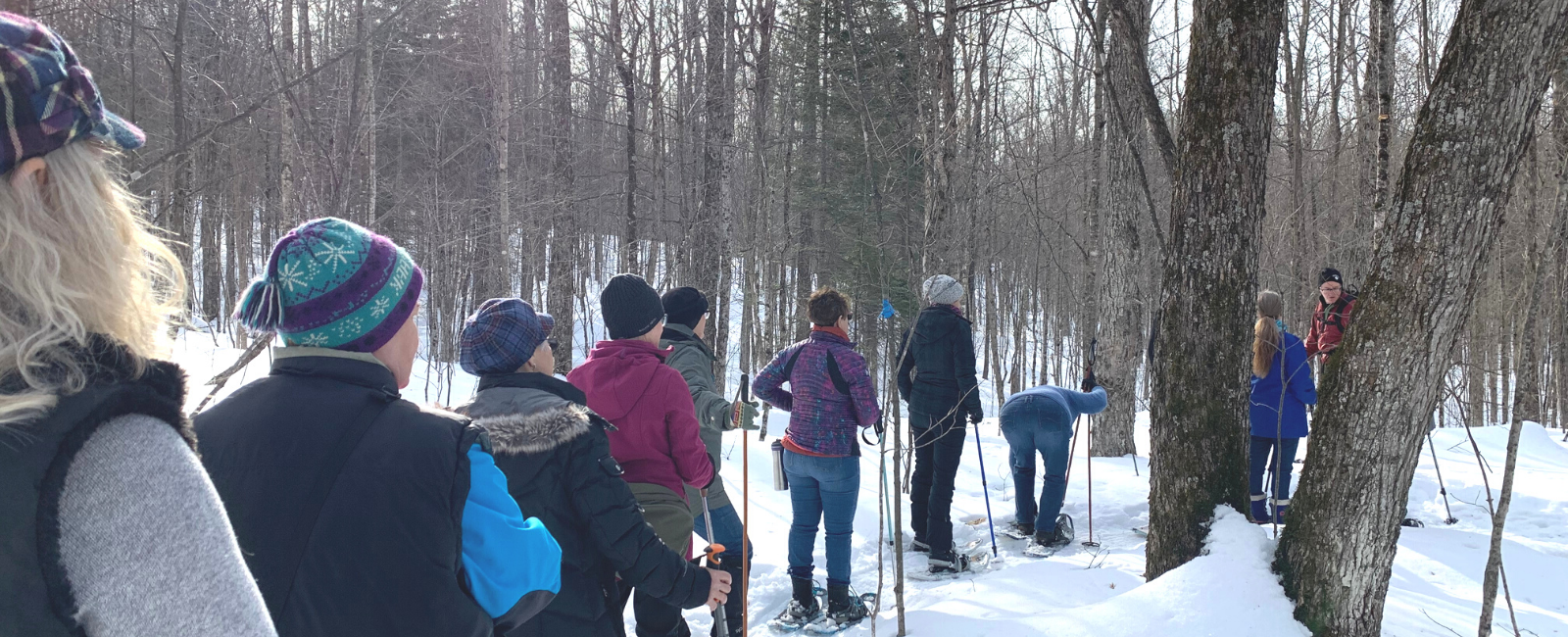 Snowshoeing